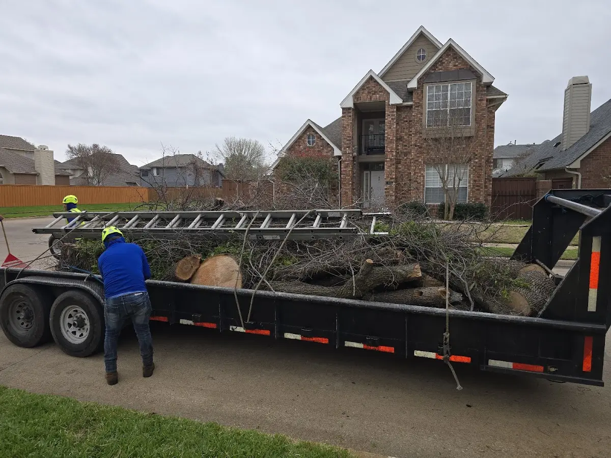 Expert Tree Fertilization with proper safety equipment in Portlandville